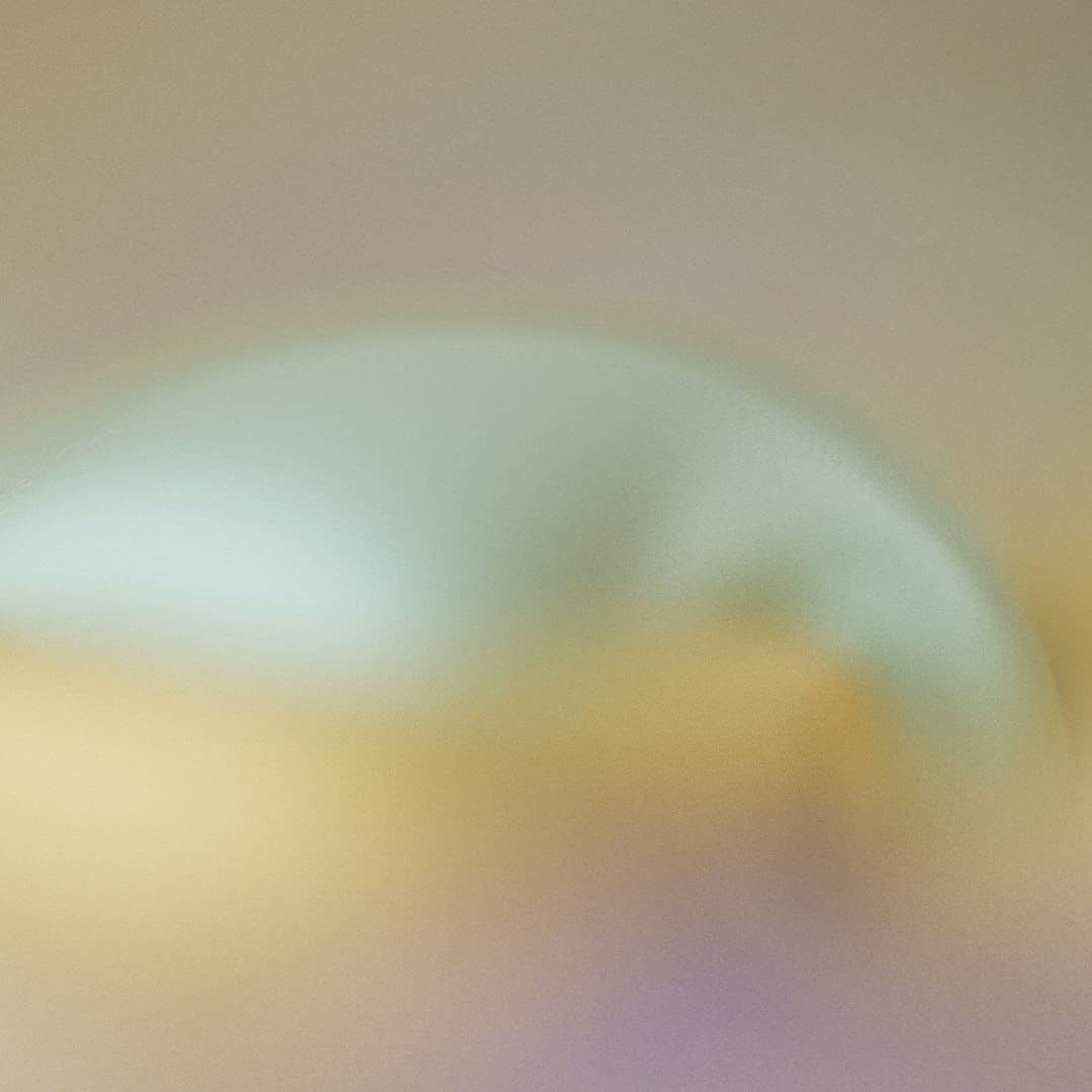 中韩协作 质量留学 _